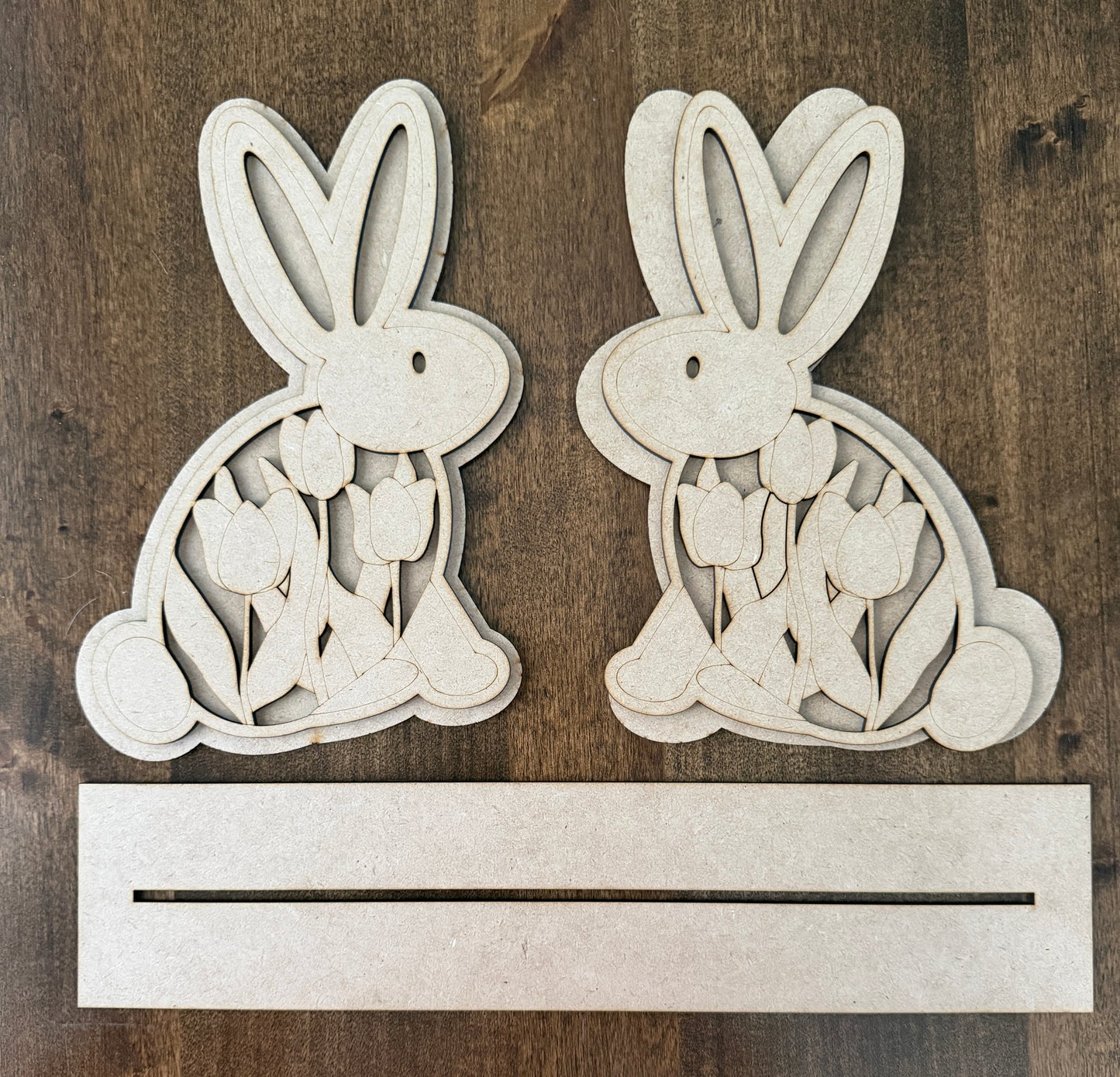 Twin Bunnies