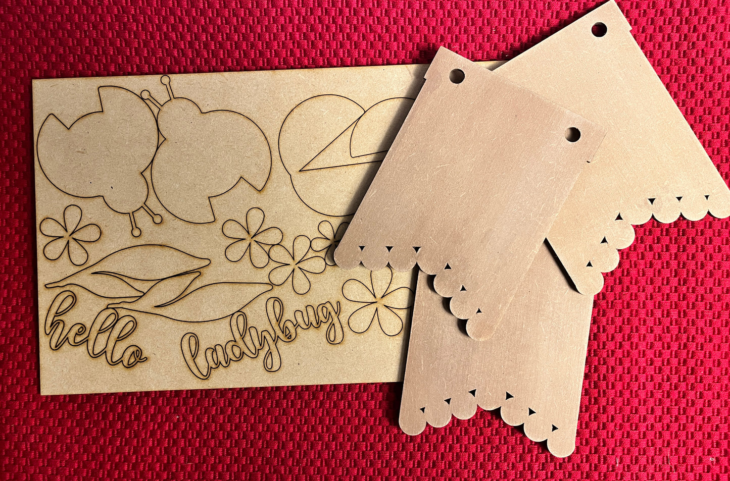 Hello Ladybug Banner DIY Kit