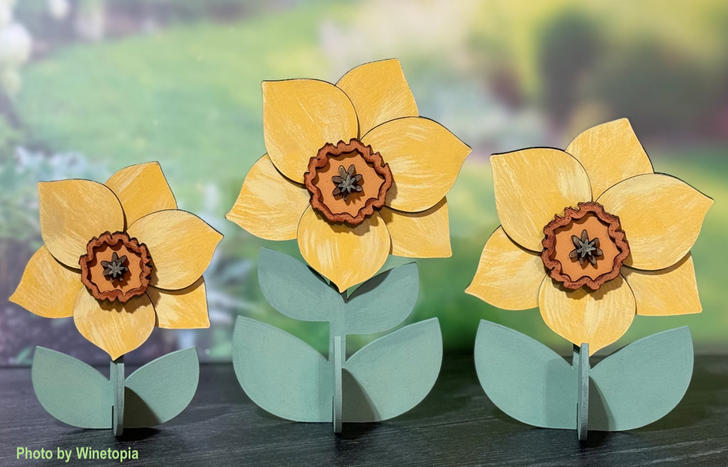 Daffodil Trio